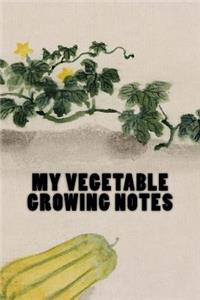 My Vegetable Growing Notes