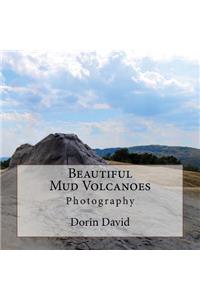 Beautiful Mud Volcanoes