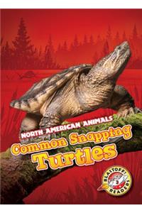 Common Snapping Turtles