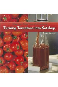 Turning Tomatoes Into Ketchup