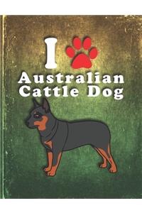 Australian Cattle Dog