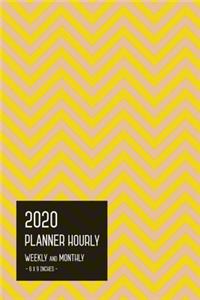 2020 Planner Hourly Weekly Monthly 6x9
