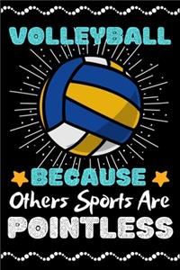 Volleyball Because Others Sports Are Pointless