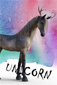 Unicorn: Unicorn, Notebook, Gift, Funny, Journal, Diary (6 X 9; 112)