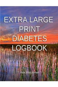 Extra Large Print Diabetes Logbook