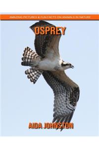 Osprey: Amazing Pictures & Fun Facts on Animals in Nature