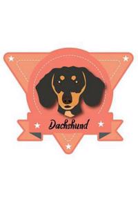 Dachshund
