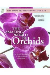 The Amazing World of Orchids