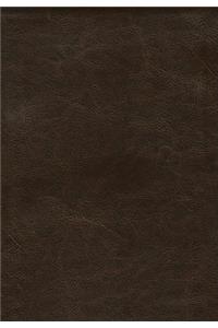 Thompson Answer Bible-NIV
