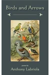 Birds and Arrows