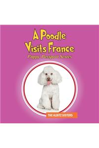 Poodle Visits France