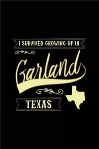 I Survived Growing Up In Garland Texas