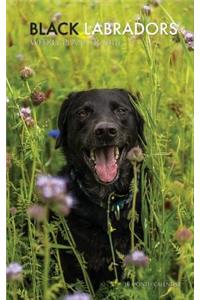 Black Labradors Weekly Planner 2018