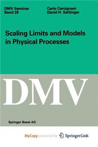 Scaling Limits and Models in Physical Processes