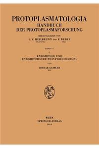 Endomitose und endomitotische Polyploidisierung