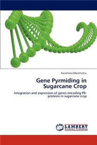 Gene Pyrmiding in Sugarcane Crop