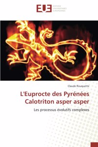 L'Euprocte des Pyrénées Calotriton asper asper