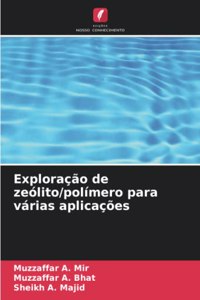 Exploração de zeólito/polímero para várias aplicações