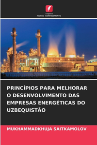 Princípios Para Melhorar O Desenvolvimento Das Empresas Energéticas Do Uzbequistão