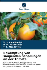 Bekämpfung von saugenden Schädlingen an der Tomate