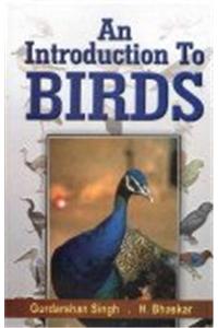 An Introduction to Birds