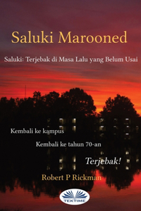 Saluki Marooned - Saluki