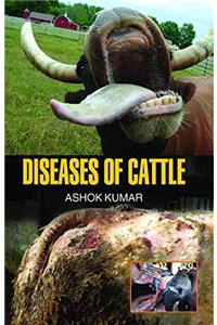 Diseases of Cattle