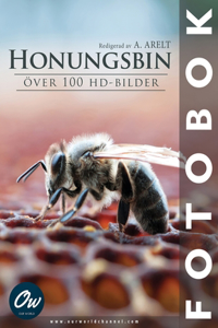 Honungsbin