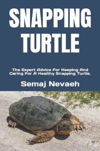 Snapping Turtle