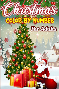 Christmas Color By Number For Adults
