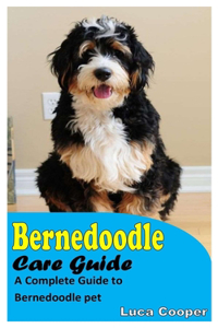 Bernedoodle Care Guide
