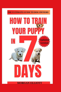 How to train your puppy in 7 days