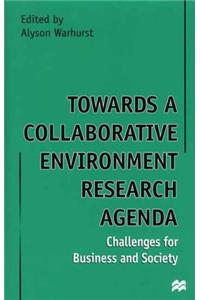 Towards a Collaborative Environment Research Agenda: Challenges for Business and Society