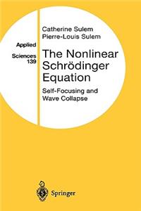 The Nonlinear Schrödinger Equation