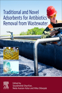 Traditional and Novel Adsorbents for Antibiotics Removal from Wastewater