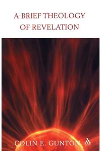 Brief Theology of Revelation