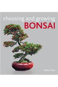 Choosing and Growing Bonsai