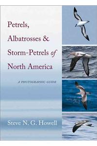 Petrels, Albatrosses, and Storm-Petrels of North America