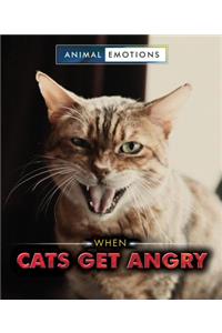 When Cats Get Angry