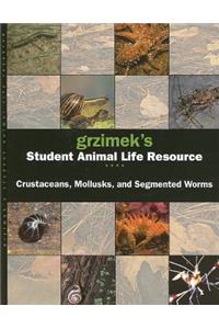 Segmented Worms, Crustaceans and Molluscs