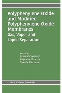 Polyphenylene Oxide and Modified Polyphenylene Oxide Membranes