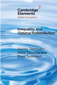 Inequality and Optimal Redistribution