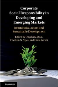Corporate Social Responsibility in Developing and Emerging Markets