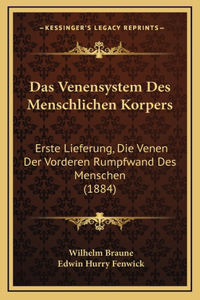 Das Venensystem Des Menschlichen Korpers