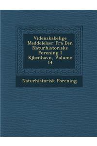 Videnskabelige Meddelelser Fra Den Naturhistoriske Forening I KJ Benhavn, Volume 14