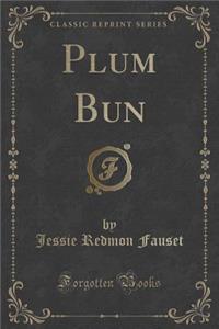 Plum Bun (Classic Reprint)