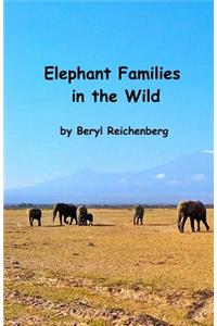 Elephant Families in the Wild