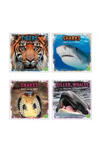 Predator Profiles