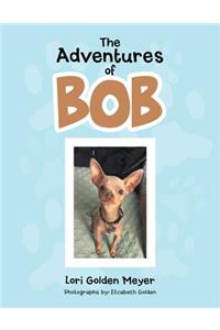 Adventures of Bob