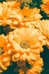 Orange Daisies Journal
